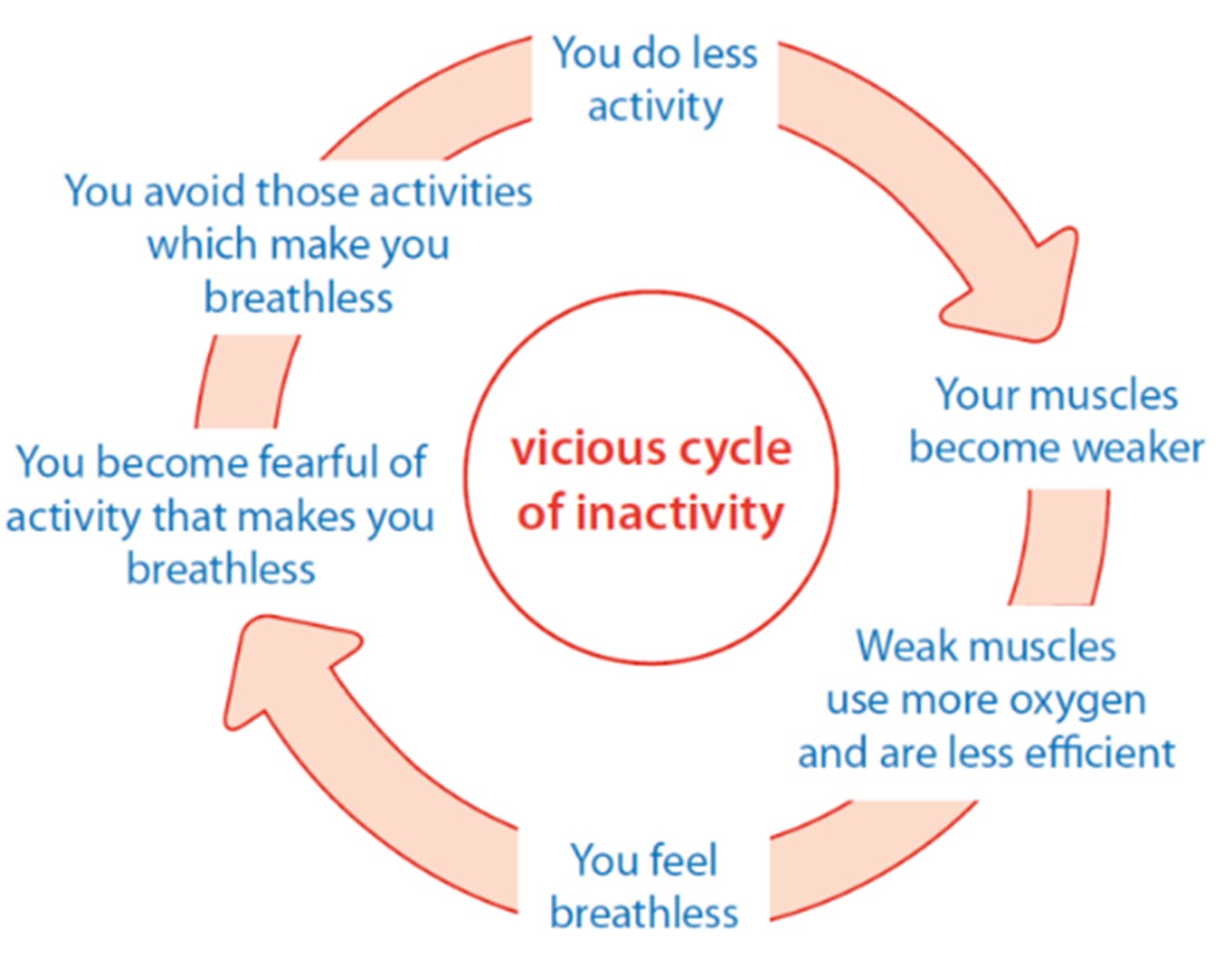 VICIOUS CYCLE